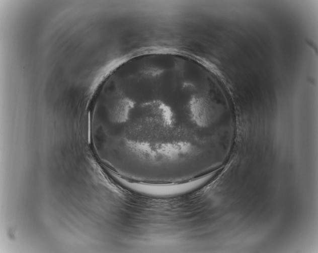 X0000100401223200806131006