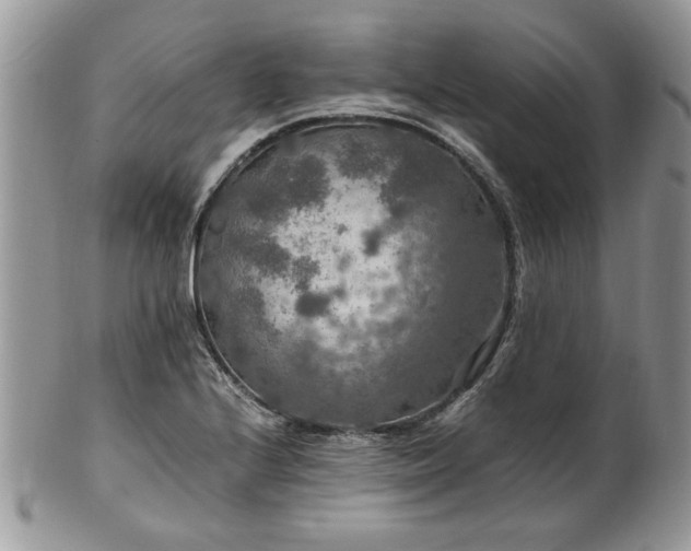 X0000100401224200806131006