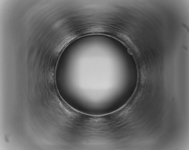 X0000100401225200806131006