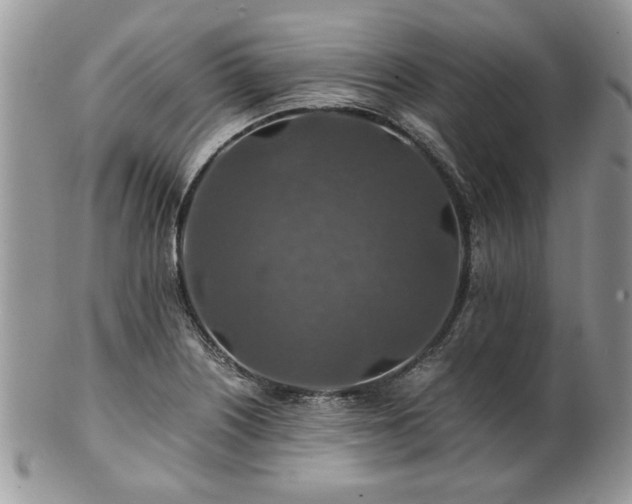 X0000100401226200806131006