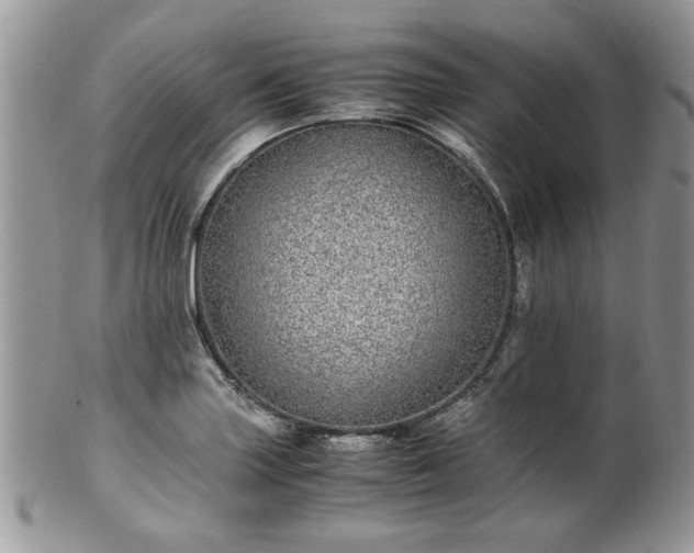 X0000100401227200806131006