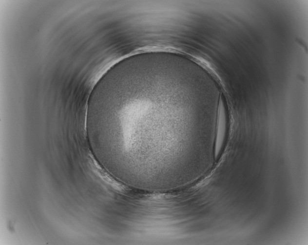 X0000100401228200806131006