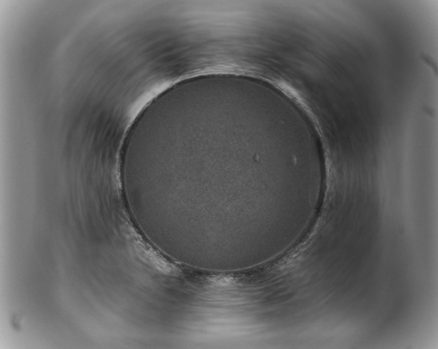 X0000100401230200806131006
