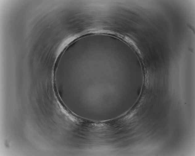 X0000100401231200806131006