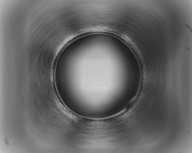 X0000100401232200806131006