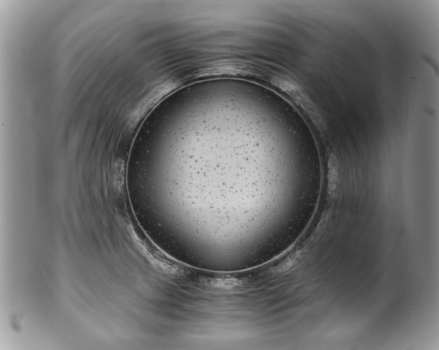 X0000100401233200806131006