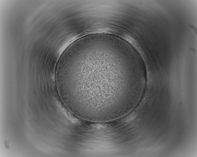 X0000100401234200806131006
