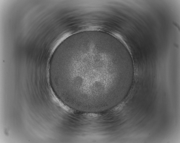 X0000100401235200806131006