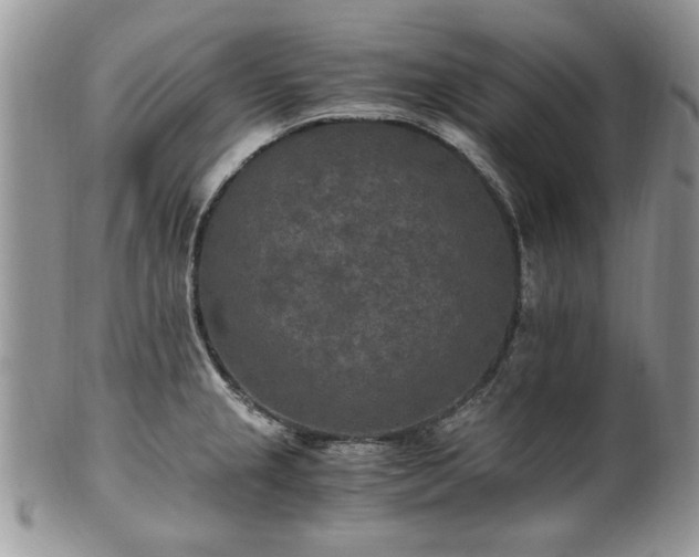 X0000100401237200806131006
