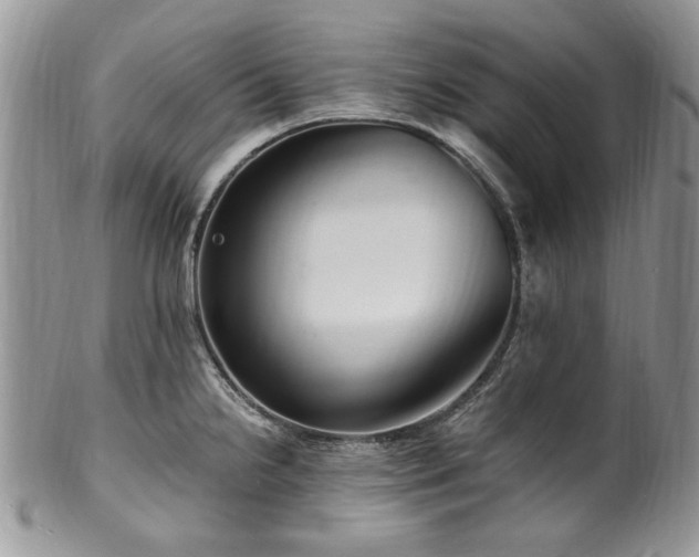 X0000100401238200806131006