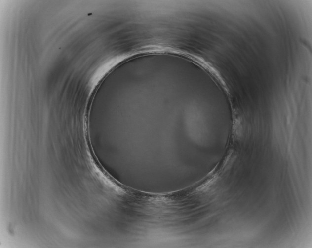 X0000100401239200806131006