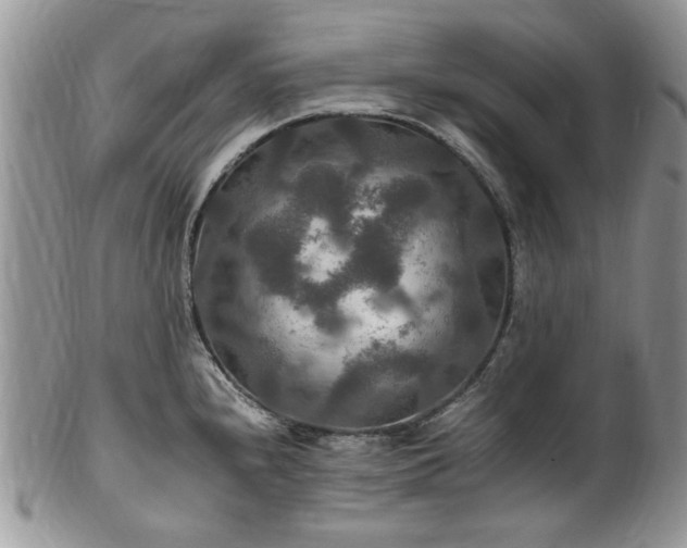 X0000100401240200806131006