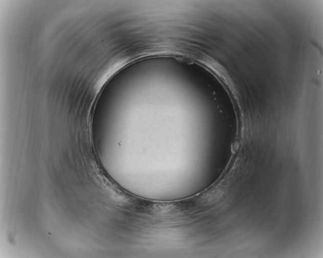 X0000100401242200806131006