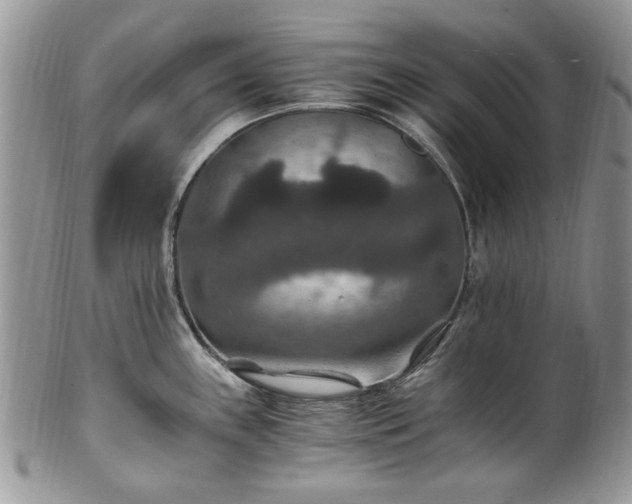 X0000100401243200806131007