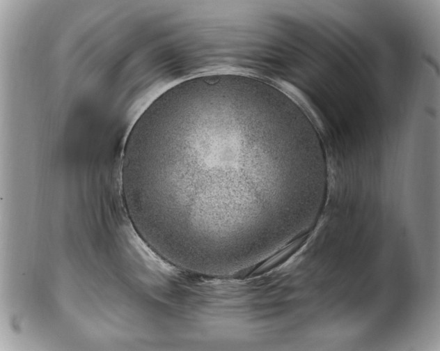X0000100401244200806131007