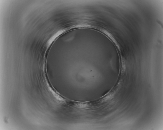 X0000100401245200806131007