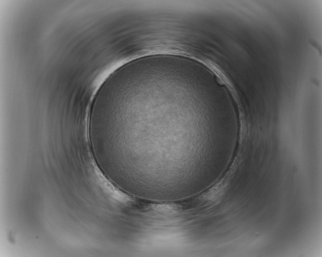 X0000100401246200806131007