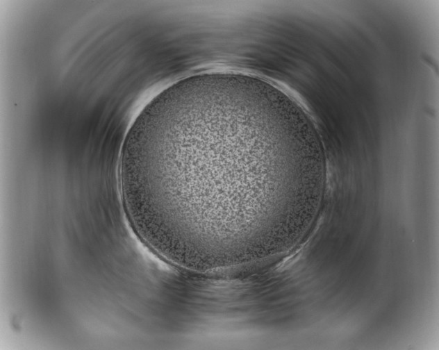 X0000100401247200806131007