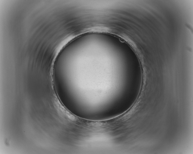 X0000100401248200806131007