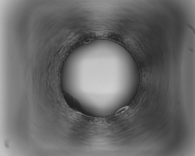 X0000100401249200806131006