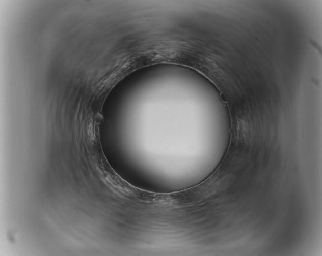 X0000100401250200806131006