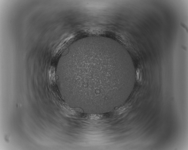 X0000100401251200806131006