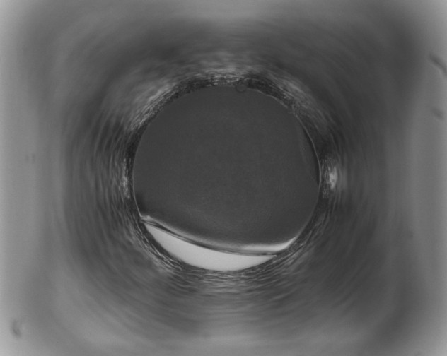 X0000100401252200806131006