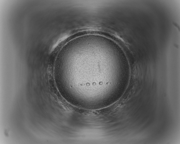 X0000100401255200806131006