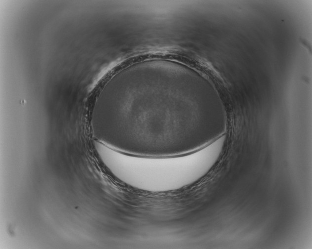 X0000100401256200806131006