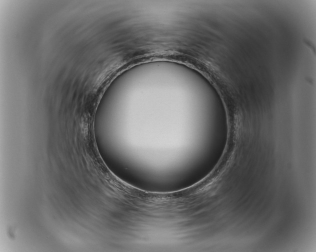 X0000100401257200806131006