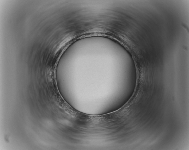 X0000100401258200806131006