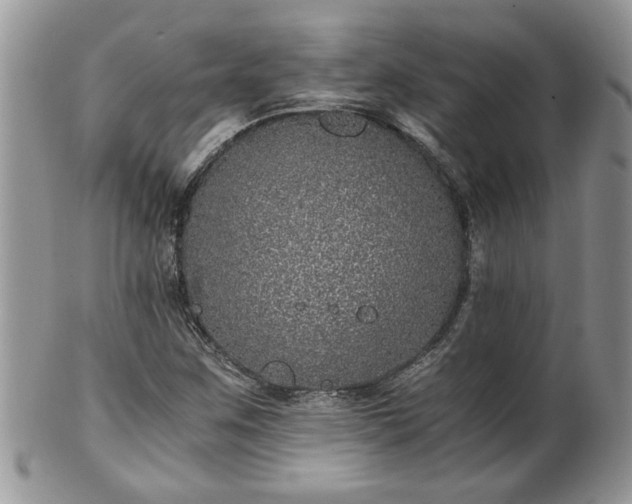 X0000100401259200806131006