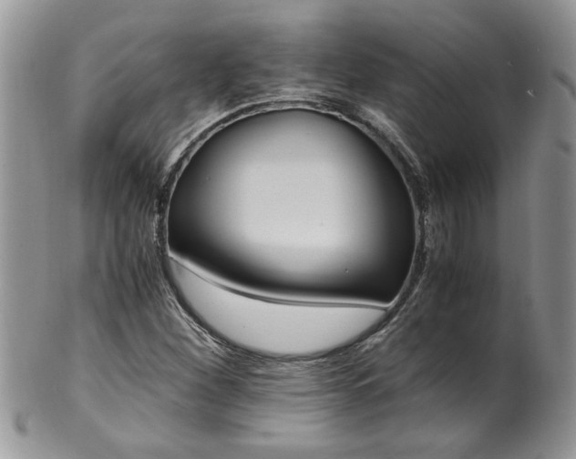 X0000100401260200806131006