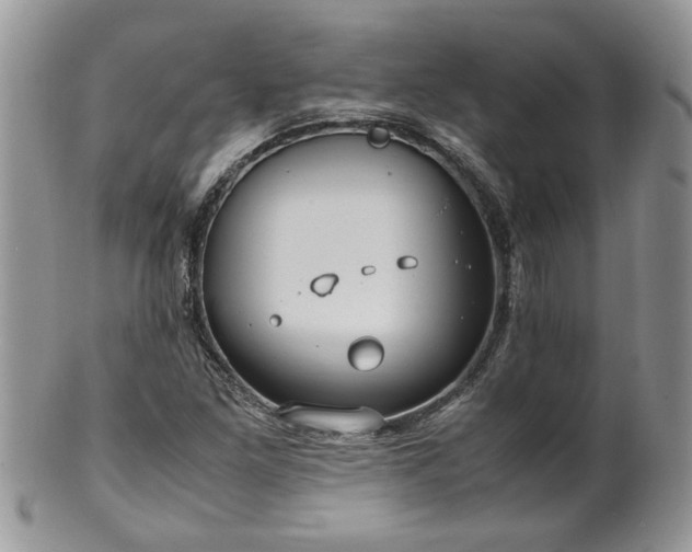 X0000100401261200806131006
