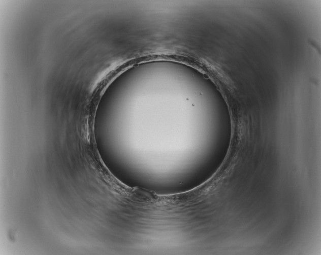 X0000100401262200806131006