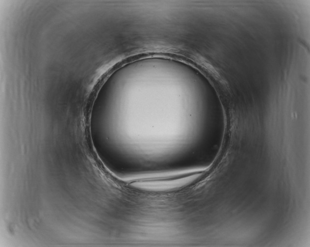 X0000100401264200806131006