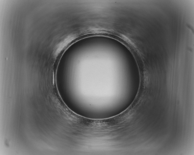 X0000100401269200806131006