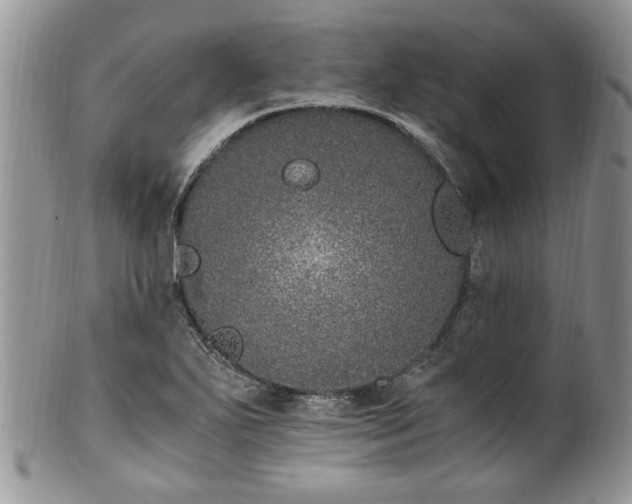 X0000100401271200806131006