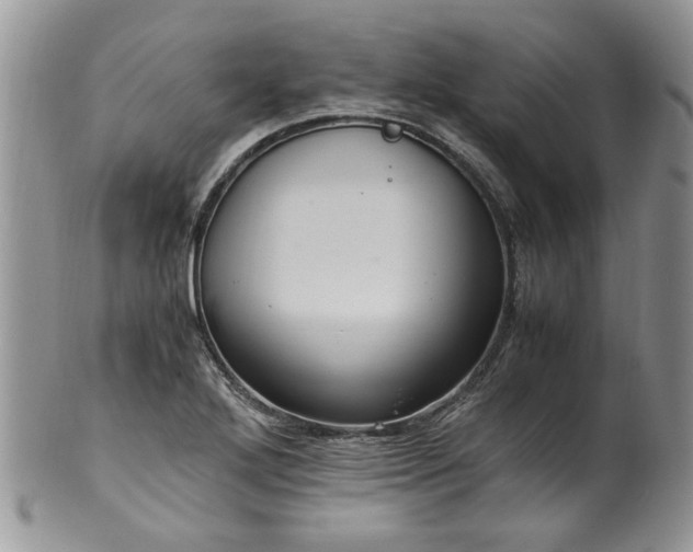 X0000100401272200806131006