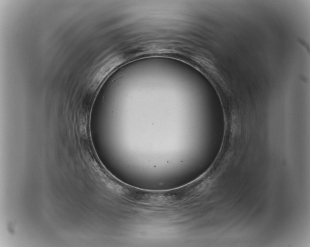 X0000100401273200806131006