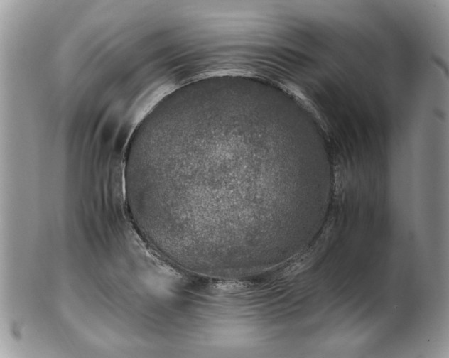 X0000100401274200806131006