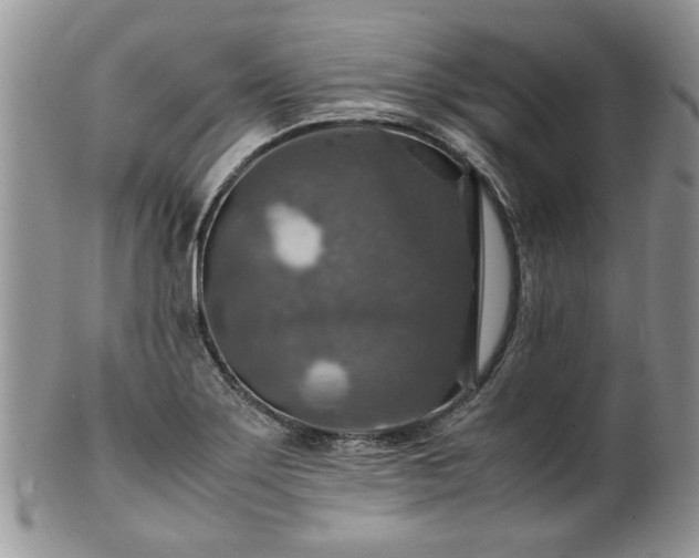 X0000100401275200806131006