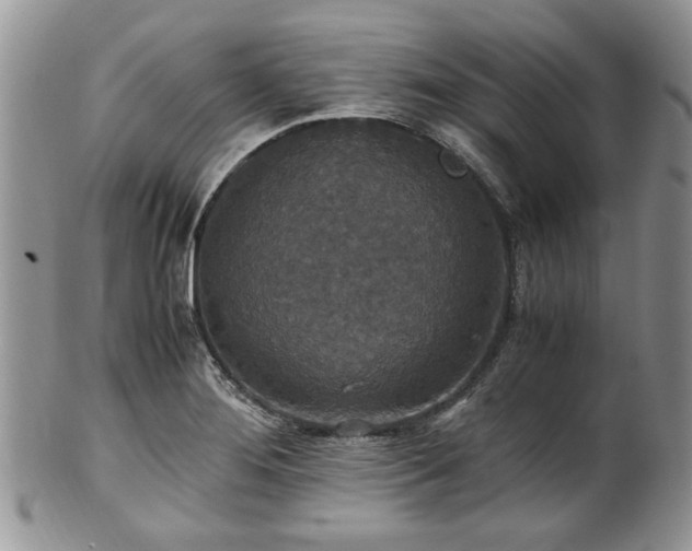 X0000100401276200806131006