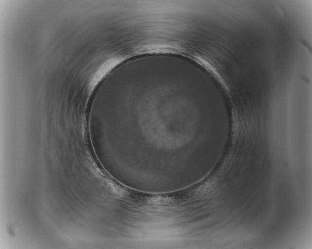 X0000100401277200806131006