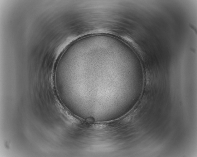 X0000100401278200806131006