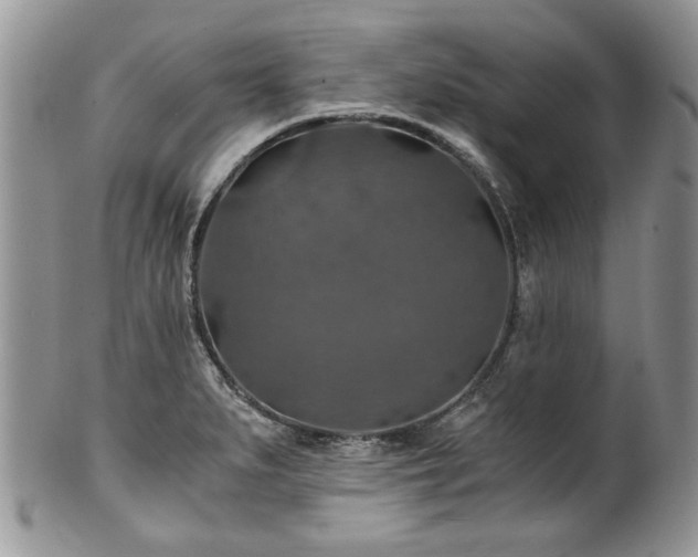 X0000100401279200806131006