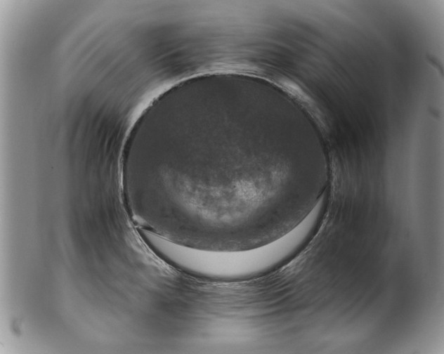 X0000100401280200806131005