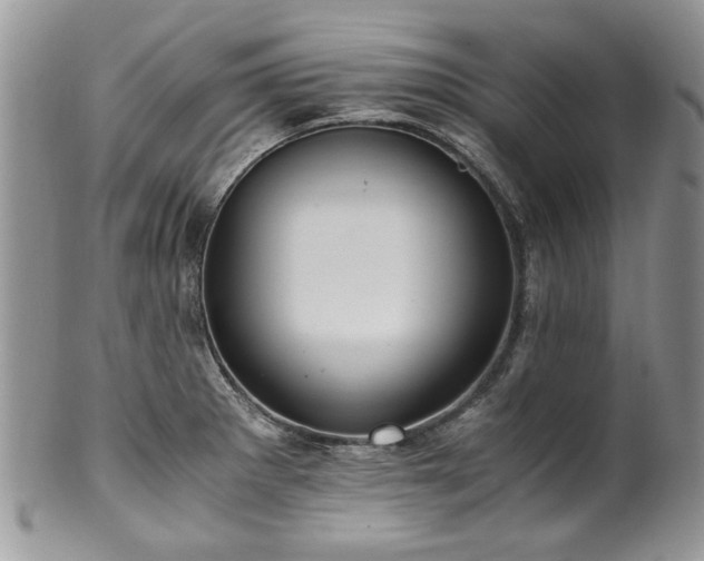 X0000100401281200806131005