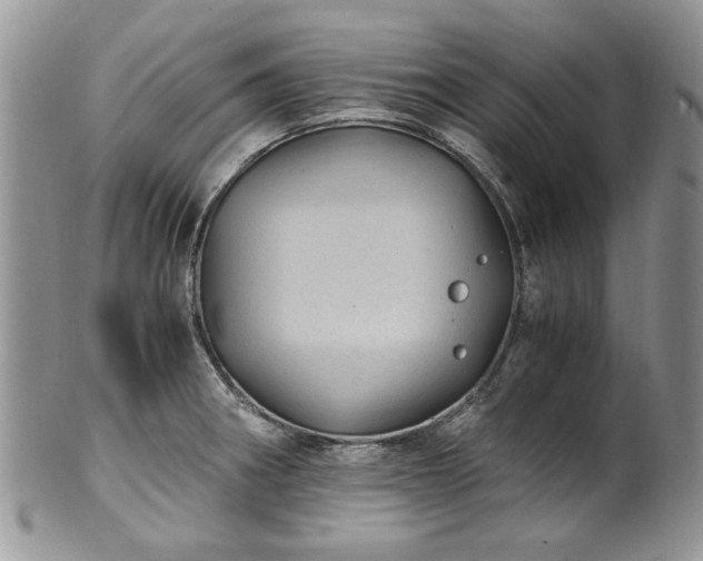 X0000100401282200806131005