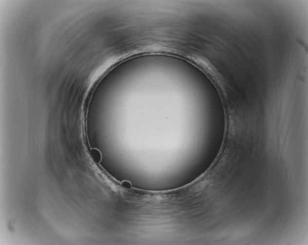 X0000100401286200806131005